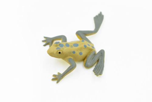 Frog, Brown Spotted  Frog, Plastic Toy, Realistic, Figure, Model, Replica, Kids, Educational, Gift,    1 1/2"    CWG23 B47