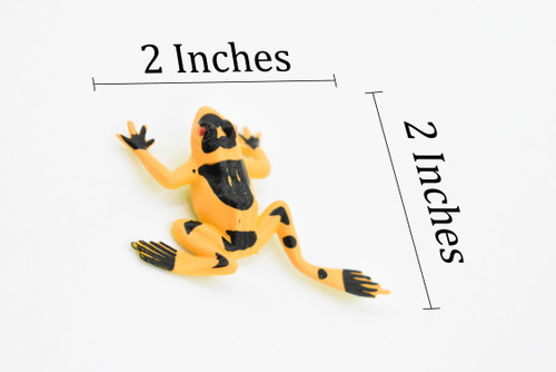 Frog, Orange Poison Dart Frog, Plastic Toy, Realistic, Figure, Model, Replica, Kids, Educational, Gift,    1 1/2"    CWG25B47