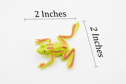 Frog, Green Striped Frog, Very Nice Plastic Design, Educational, Diorama, Realistic Figure, Lifelike, Replica, Toy, Kids,  1 1/2 Inches. 