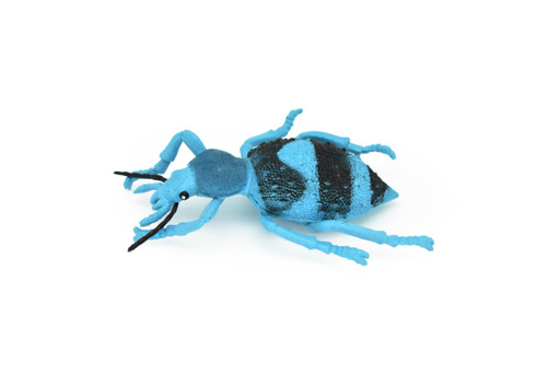 Beetle, Blue and Black, Very Nice Rubber Replica   5" - F2065 B133