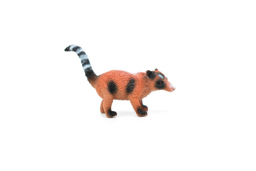 Coati, Coatimundis, White Nosed, Very Nice Plastic Animal, Model, Figurine, Educational, Animal, Kids, Gift   2 1/2 "    CWG115 B237