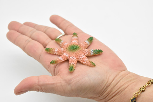 Starfish Toy, Sea Star,  Very Nice Plastic Sea Star Replica   1"   CWG141 BB28