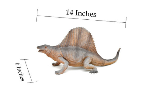 Dimetrodon, Permian period, Dinosaur, Museum Quality, Realistic, Educational, Hand Painted, Lifelike Design, Diorama Model, Replica, Toy,  14 Inches  
