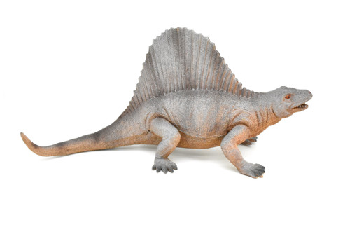 Dimetrodon, Permian period, Dinosaur, Museum Quality, Realistic, Educational, Hand Painted, Lifelike Design, Diorama Model, Replica, Toy,  14 Inches  