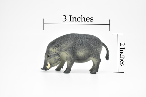 Wild Boar, Javelina Pig, Figure, Model, Figurine, Educational, Animal, Kids, Gift Museum Quality Plastic Replica, Hand Painted     3 "     CWG177 BB41