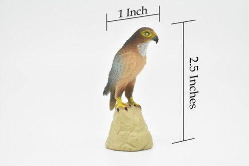 Falcon, Peregrine, Museum Quality, Realistic, Plastic, Bird Design, Educational, Hand Painted, Figure, Lifelike, Model, Figurine, Replica, Gift,         2 1/2"     CWG194 BB45