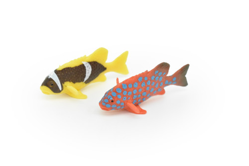 Tropical Fish, Saltwater, Set of 2, Realistic, Plastic, Fish Design, Educational, Hand Painted, Figure, Lifelike, Model, Replica, Gift      2"   CWG217 BB46