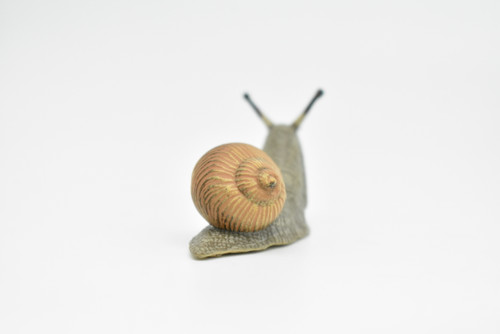 Snail, Bug Toy , Realistic Rubber Replica, Hand Painted Model    2"   CWG260B241