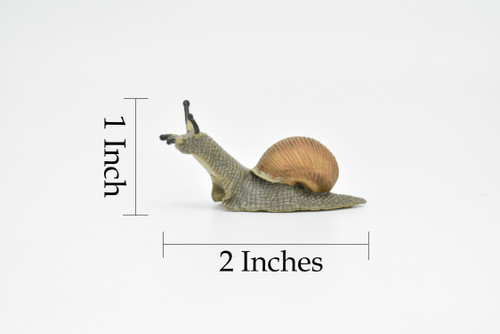 Snail, Land, Shelled Gastropod, Museum Quality Rubber Snail, Educational, Realistic Hand Painted Figure, Lifelike Figurine, Replica, Gift,    2"     CWG260 B241