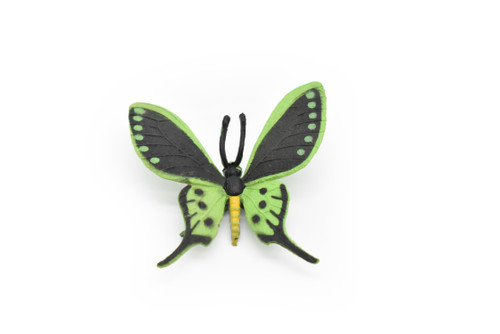 Butterfly, Black & Green, Very Nice Rubber Reproduction     2"    F4471 B46