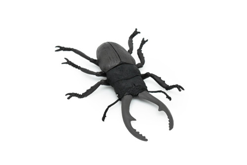 Beetle, Giant Stag, Very Nice Rubber Replica     6"   -    CWG84 B153