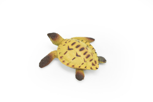 Sea Turtle, Very Nice Plastic Turtle, Educational, Toy, Kids, Realistic Figure, Lifelike Model, Figurine, Replica, Gift,    2"     CWG270 B46