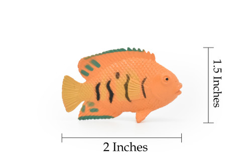 Angelfish, Flame, Tropical Fish, Pterophyllum, Ciclids, Hand Painted, Plastic Fish Design, Saltwater, Educational, Lifelike, Diorama Model, Toy, 2 Inches.