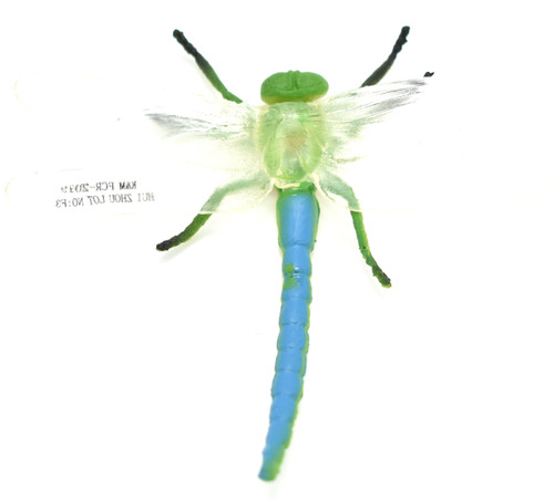 Dragonfly, Green & Blue, Flexible, Rubber Toy Animal, Realistic Figure, Model, Replica, Kids Educational Gift,     3"      F1052 B190