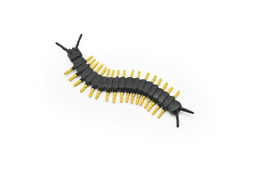 Centipede, Black, Very Nice Plastic Reproduction    3"    CWG296 B1