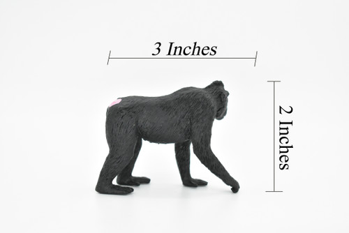 Monkey, Macaque, Celebes Crested, Museum Quality Educational, Realistic Hand Painted Figure, Lifelike Model, Figurine, Replica, Gift,      3"       M142 B627