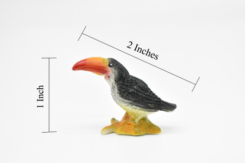 Toucan, Very Nice Rubber Bird, Hand Painted, Educational,  Realistic, Diorama, Very Nice Design, Figure, Toys, Kids,  2 Inches