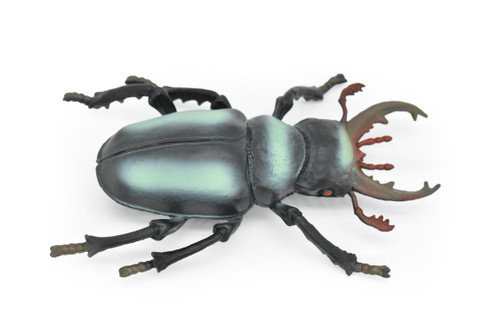 Stag Beetle, Lucanidae, Rubber Insect, Toy, Kids, Gift, Realistic Figure, Educational,  Model, Replica, Gift