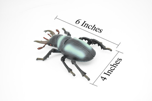 Stag Beetle, Lucanidae, Rubber Insect, Toy, Kids, Gift, Realistic Figure, Educational,  Model, Replica, Gift