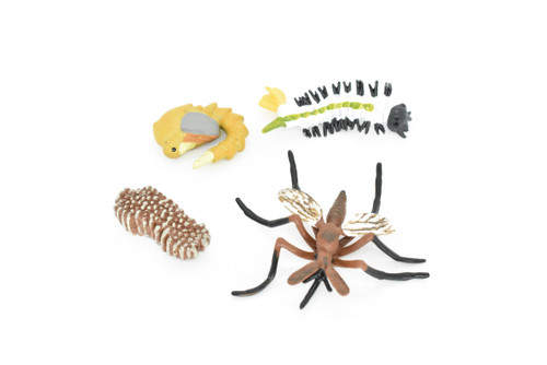 Mosquito Life Cycle, 4 Stages, Very Nice Rubber Design, Educational, Hand Painted, Rubber Insect, Figure, Diorama Model, Realistic, Kids, Toys, 2 1/2 Inches.