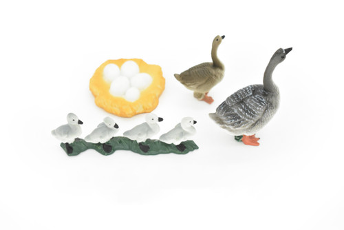Geese, Geese Life Cycle, 4 Stages, Museum Quality, Educational, Hand Painted, Rubber Bird, Realistic Toy Figure, Diorama Model, Kids, 2 1/2 Inches.