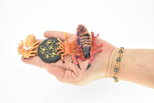 Scorpion Life Cycle, 4 Stages, Arachnids, Scorpiones, Museum Quality, Educational, Hand Painted, Rubber, Diorama Model, Realistic, Kids, Toys, 3 1/2 Inches.