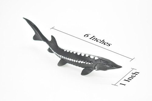 Sturgeon, Fish, Prehistoric, Very Realistic Rubber Reproduction, Hand Painted,    6"     CH024 BB72