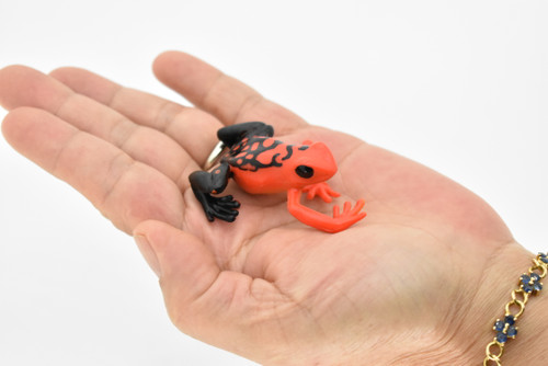 Frog, Toy, Red Poison Dart, Arrow Frog, Very Realistic Rubber Figure, Model, Educational, Animal, Hand Painted Figurines,   2 1/2"    CH035 BB74