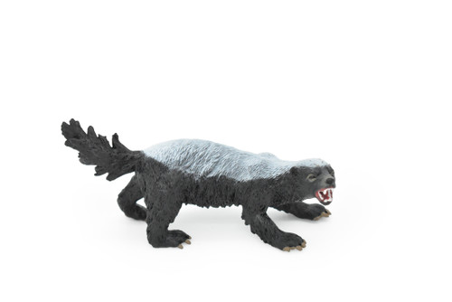 Honey Badger, Mellivora capensis, Museum Quality, Educational, Rubber Animal, Hand Painted, Realistic, Diorama Model, Toy, Kids,  5 Inches.