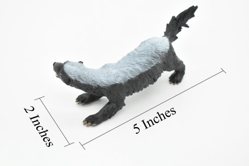 Honey Badger, Mellivora capensis, Museum Quality, Educational, Rubber Animal, Hand Painted, Realistic, Diorama Model, Toy, Kids,  5 Inches.