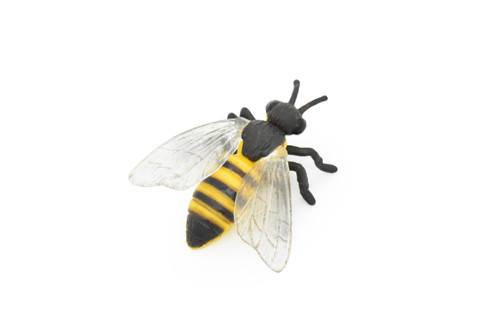 Bee, Anthophila, Honey bee, Very Realistic Rubber Design,  Educational, Hand Painted, Rubber Insect, Diorama Model, Kids, Toys,  3 Inches. 