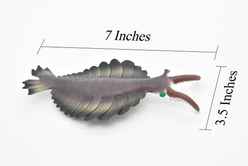 Anomalocaris, Prehistoric, Fossil, Arthropods, Museum Quality, Rubber, Hand Painted, Realistic Toy Figure, Diorama Model, Kids, Educational,  7 Inches.