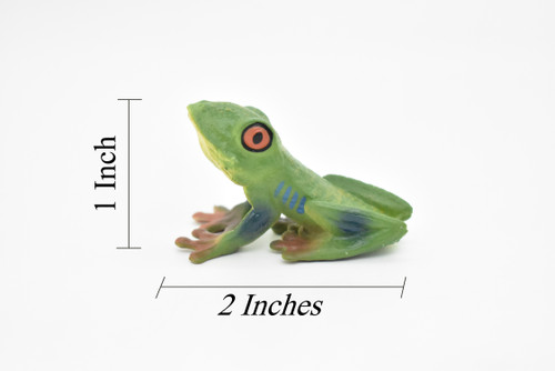 Frog Toy, Red Eyed Tree Frog, Very Realistic Rubber Figure, Model, Educational, Animal, Hand Painted Figurines,   2"    CH063 BB79