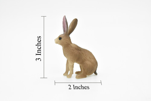 Jackrabbit, Hare, Very Realistic Rubber Figure, Hand Painted, Rubber Mammal, Realistic Toy Figure, Replica, Kids, Educational,  2 1/2 Inches. 