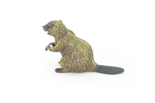 Beaver, Semiaquatic Rodents, Castor, Museum Quality, Hand Painted, Rubber Animal, Realistic Toy Figure, Diorama Model, Kids, Educational, Gift,    3 Inches.  