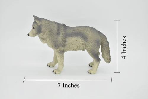 Wolf, Grey, Timber Wolf, Museum Quality, Educational, Rubber Animal, Hand Painted, Realistic, Diorama Model, Toy, Kids,  7 Inches. 