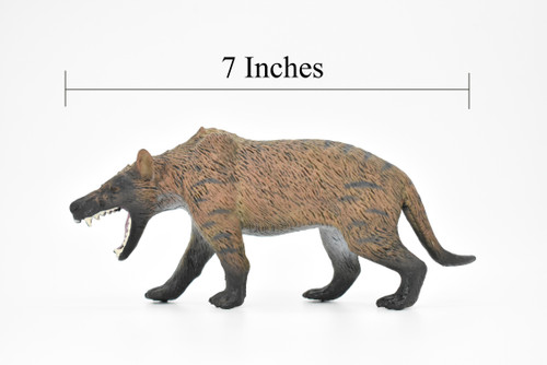 Tasmanian Tiger, Thylacine, Tasmanian wolf, Museum Quality, Hand Painted, Educational, Rubber Animal, Realistic Toy Figure, Diorama Model, Kids,  7 Inches.