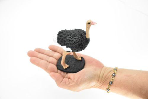 Ostrich, Bird, Museum Quality Rubber Reproduction, Hand Painted Figurines       5"     CH157 B249 