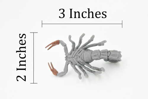 Scorpion, Gray, Fat-tailed, Detailed, Rubber Toy Animal, Realistic Figure, Model, Replica, Kids Educational Gift,       3"      F3124 B225