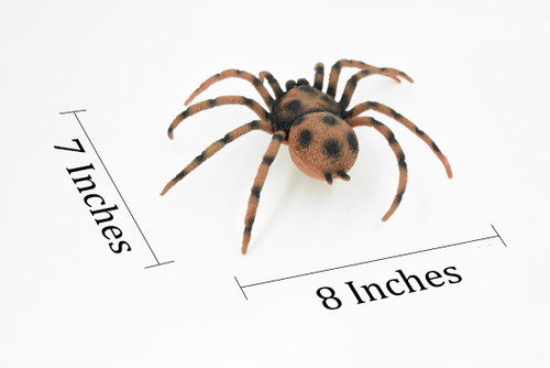 Spider, Goliath Birdeater, Tarantula, Arachnids, Hand Painted, Rubber Insect, Toy, Kids, Gift, Realistic Figure, Educational,  Model, Replica, Gift