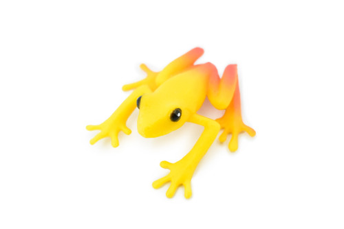 Golden Poison Dart Frog, Yellow and Red, Hand Painted, Amphibian, Hard Rubber, Realistic Frog, Toy, Kids, Educational, Gift,     2"