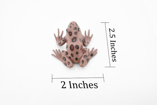 Western Spotted Frog, Hard Rubber, Amphibian, Realistic Figure, Model, Replica, Toy, Kids, Educational, Gift,     2 1/2" 