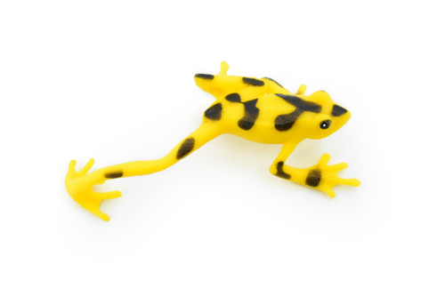 Panamanian Golden Frog, Black Spots, Hand Painted, Amphibian, Hard Rubber, Realistic Frog, Toy, Kids, Educational, Gift,        4"   