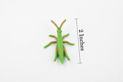 Grasshopper, Rubber Insect, High Quality, Hand Painted, Educational, Realistic Toy Figure, Diorama Model, Replica, Kids,  2  Inches. 