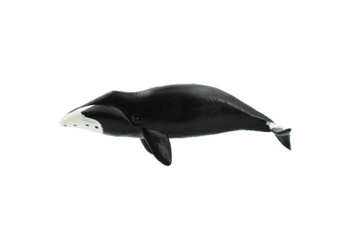 Bowhead Whale, Arctic right whale, Marine Mammal, Hand Painted, Rubber, Educational Design, Figure, Diorama Model, Toy, Kids,   3 1/2 Inches.