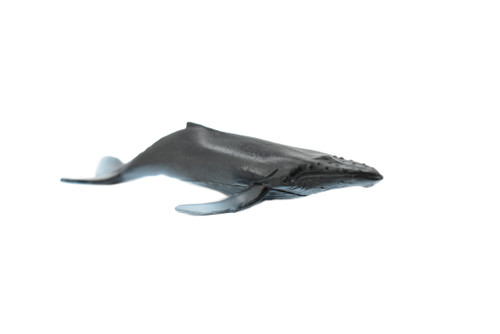 Humpback Whale, Endangered Marine Mammal, Hand Painted, Rubber, Educational Design, Figure, Diorama Model, Toy, Kids,  3 1/2 Inches. 