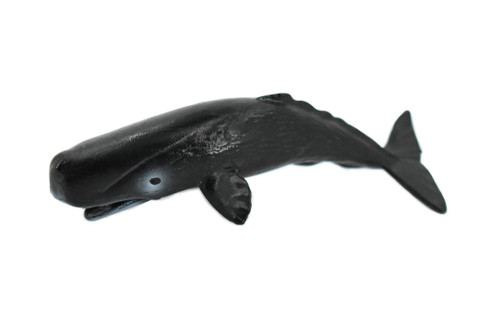 Sperm Whale, Vulnerable marine species, Marine Mammal, Hand Painted, Rubber, Educational Design, Diorama Model, Toy, Kids,  3 1/2 Inches. 