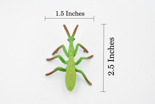 Praying Mantis, Rubber Insect, High Quality, Hand Painted, Educational, Realistic Toy Figure, Diorama Model, Replica, Kids,  Gift,       2 1/2 Inches. 