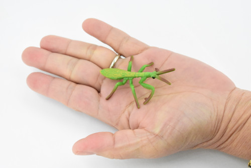 Praying Mantis, Rubber Insect, Hand Painted, Realistic Toy Figure, Model, Replica, Kids, Educational, Gift,       2 1/2"       CH427 BB109