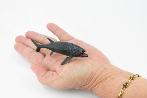 Leedsichthys, Extinct, Jurassic, Rubber Fish, Realistic Toy Figure, Model, Replica, Kids, Hand Painted, Educational, Gift,         4"       CH428 BB109